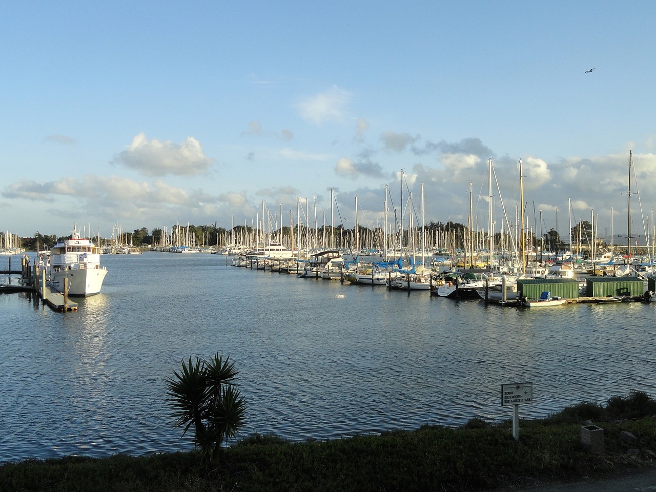 marina sea boats free photo