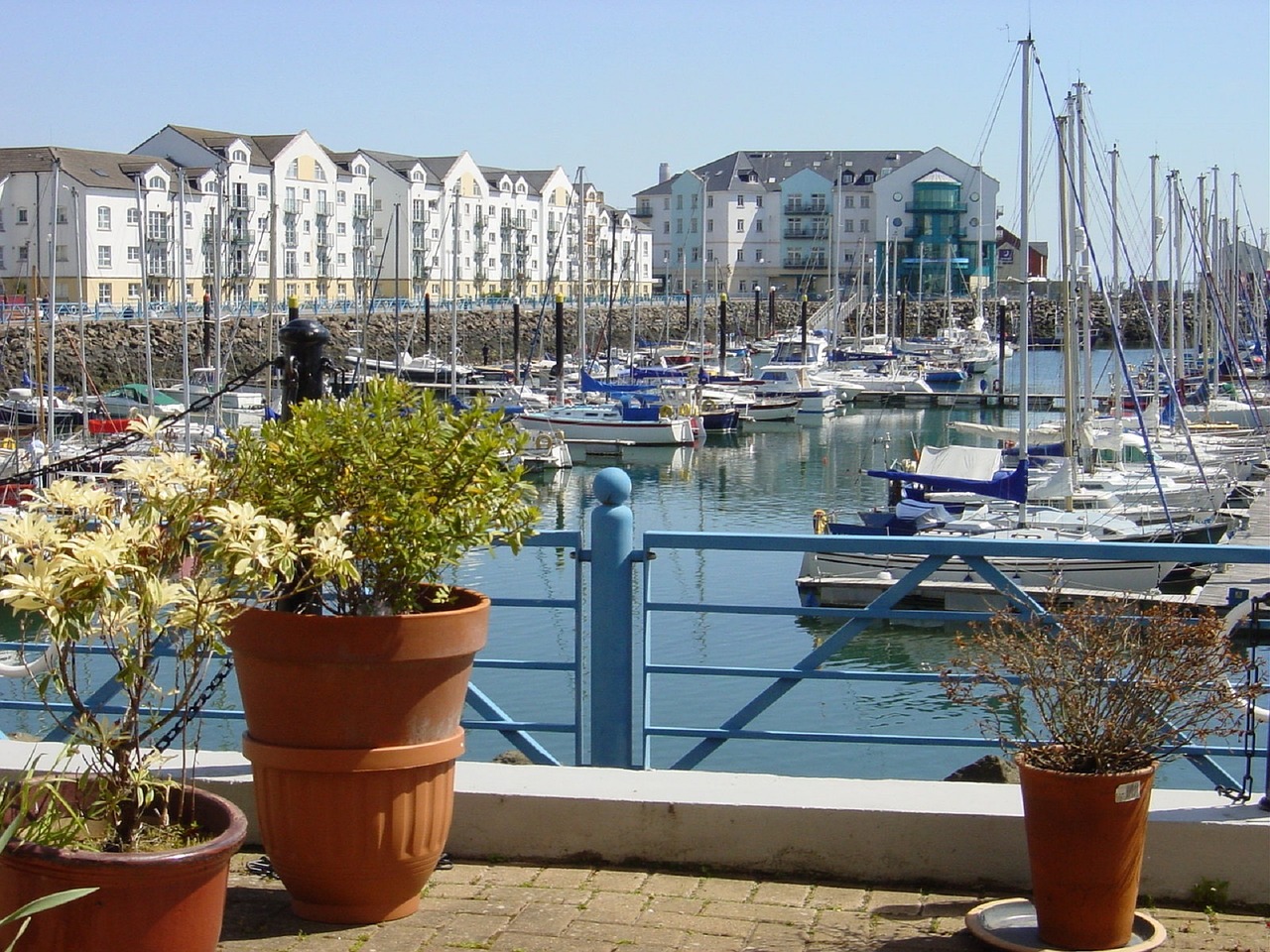 marina sea boats free photo