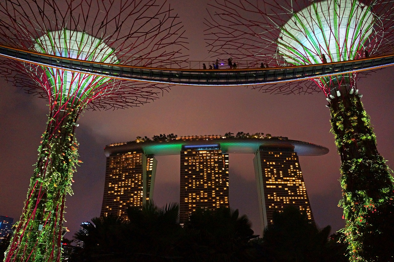 marina bay big tree gardens by the bay free photo