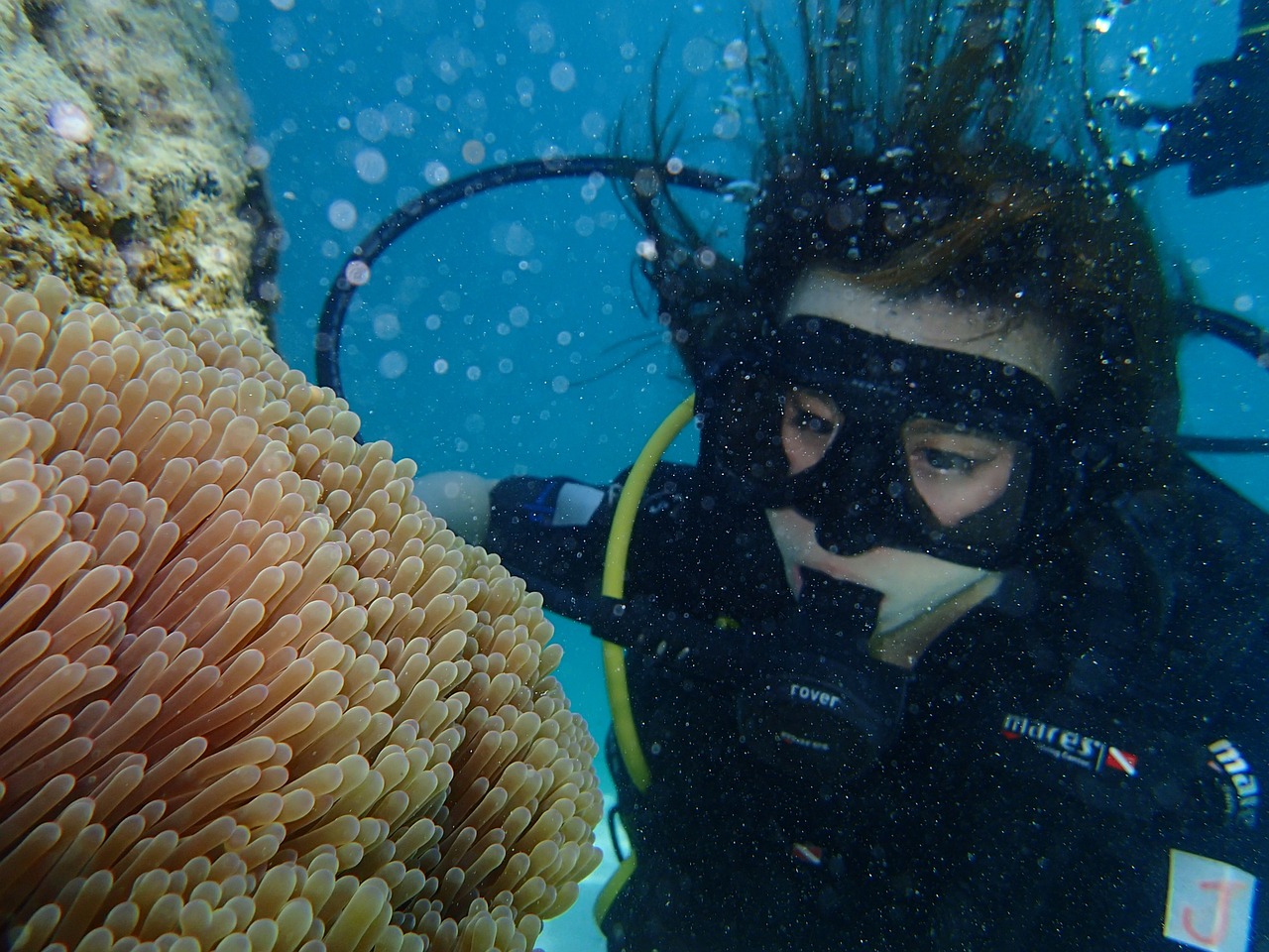 marine diving sea free photo