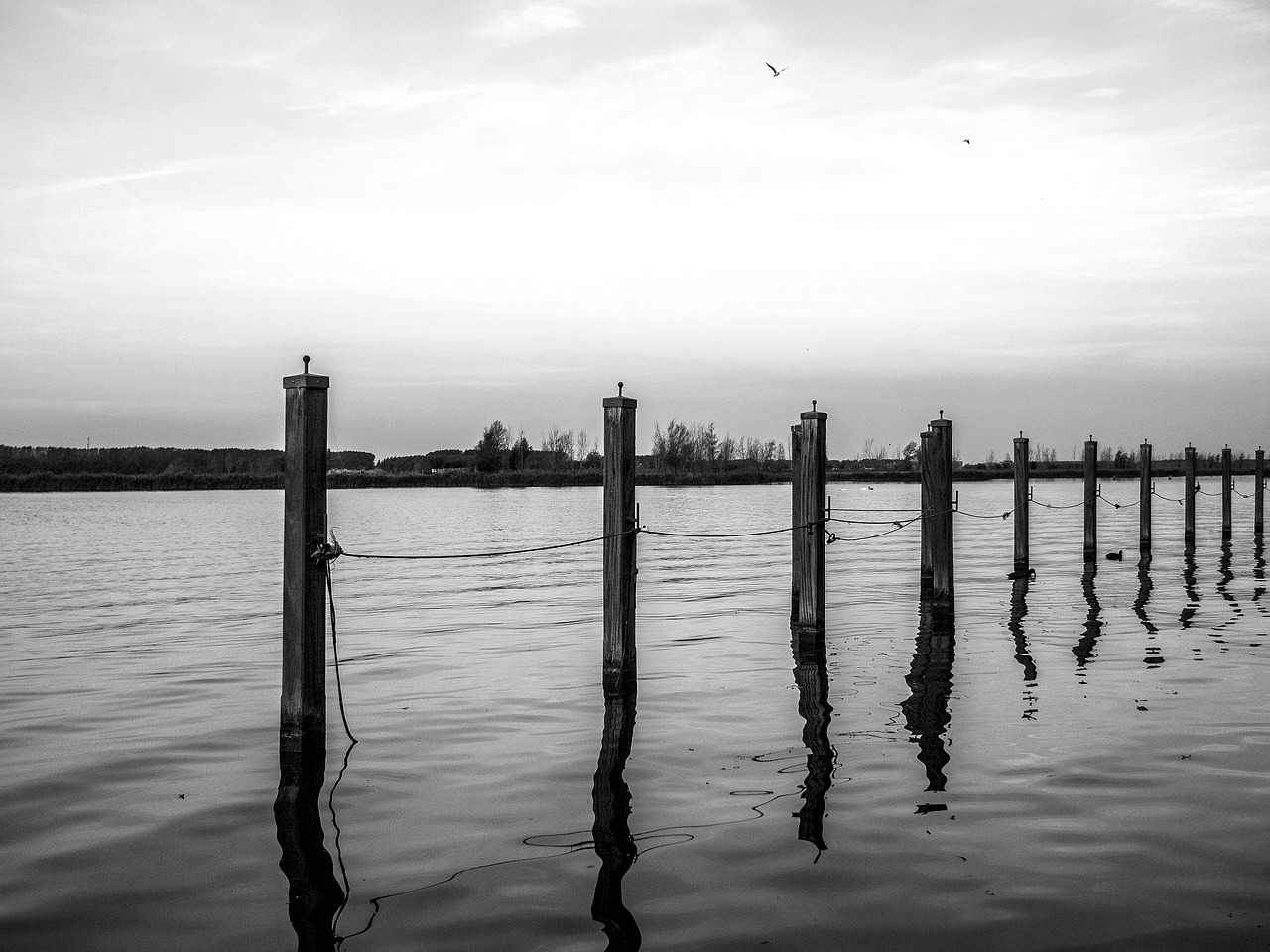 marine water dock free photo