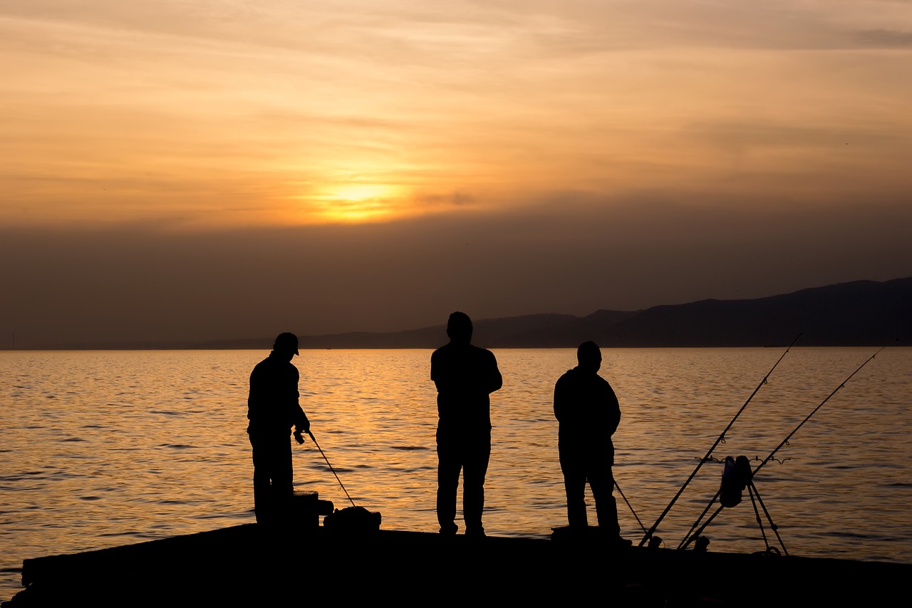 marine landscape nature free photo