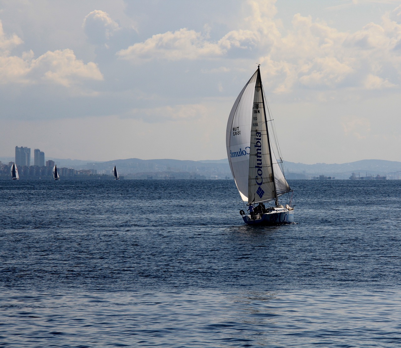 marine blue sailboat free photo