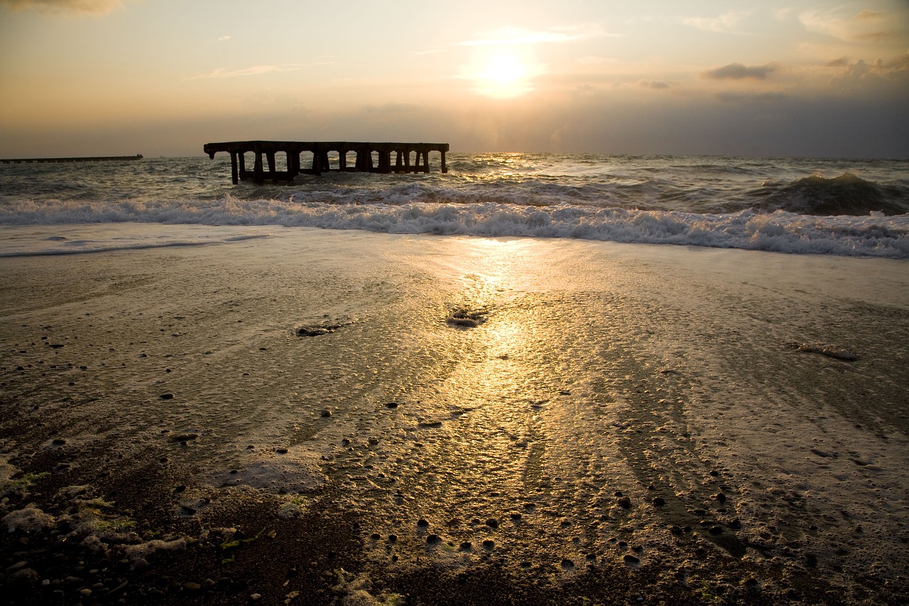 marine beach sunset free photo