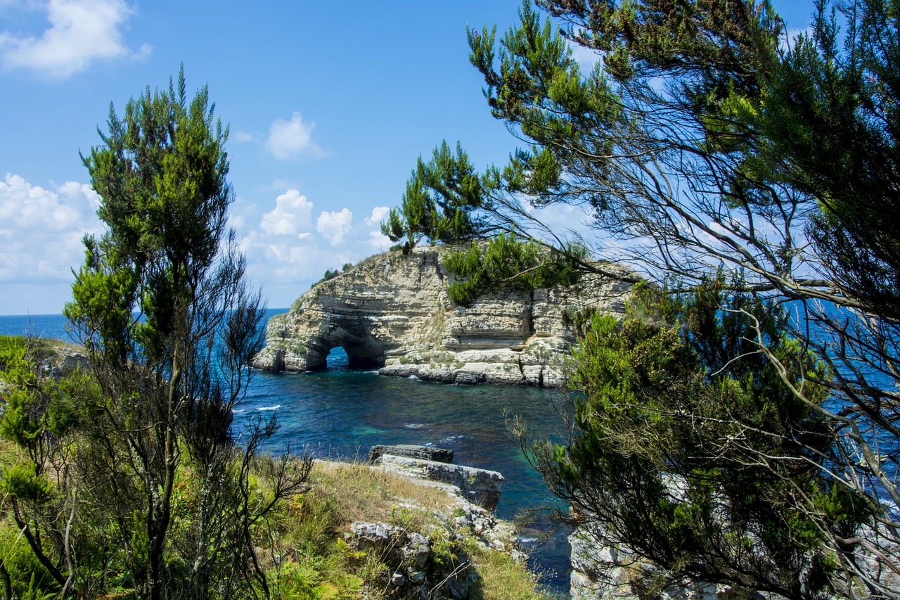 marine  landscape  ocean free photo