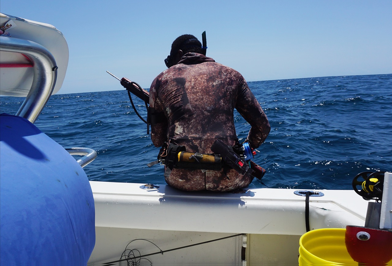 marine  recon marine  spearfish free photo