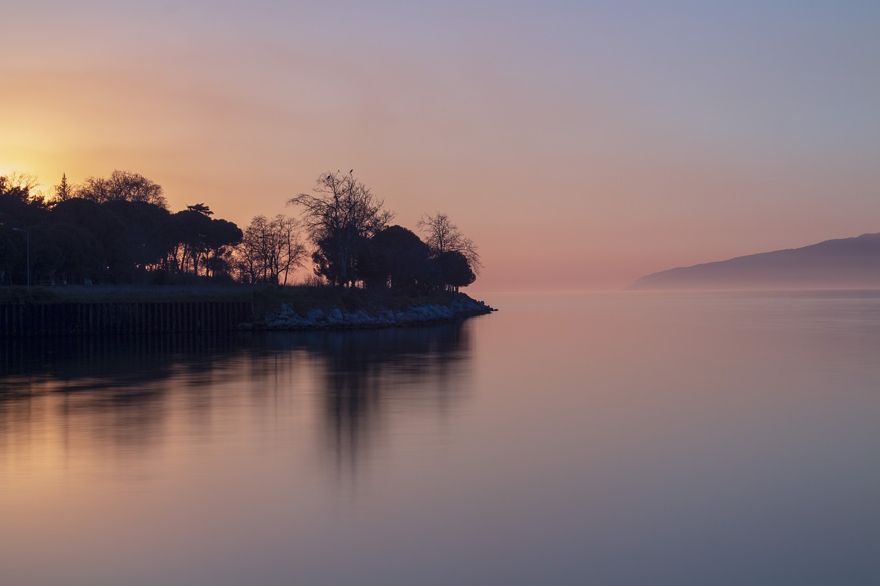 marine  sunset  trees free photo