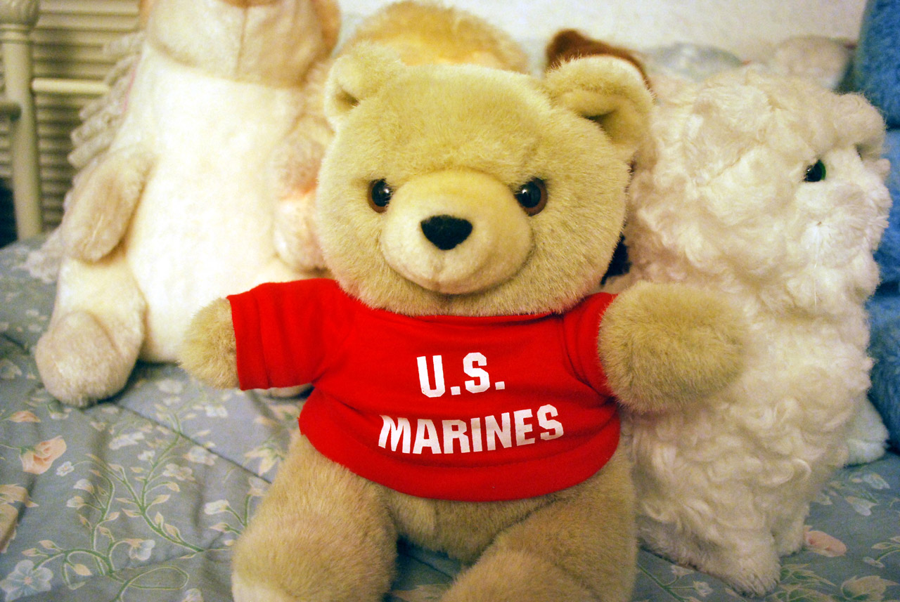 bear marine toy free photo