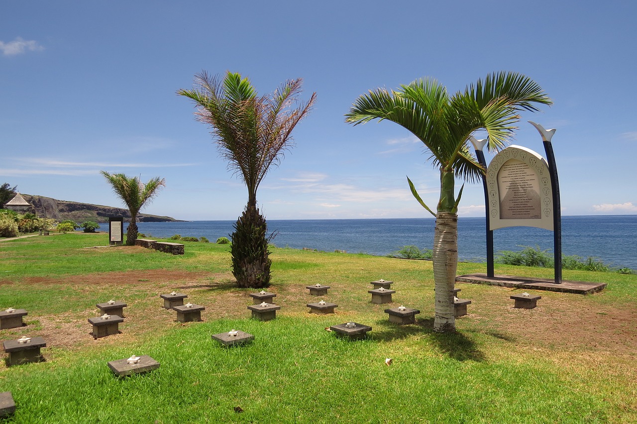 marine cemetery  palm trees  the meeting free photo