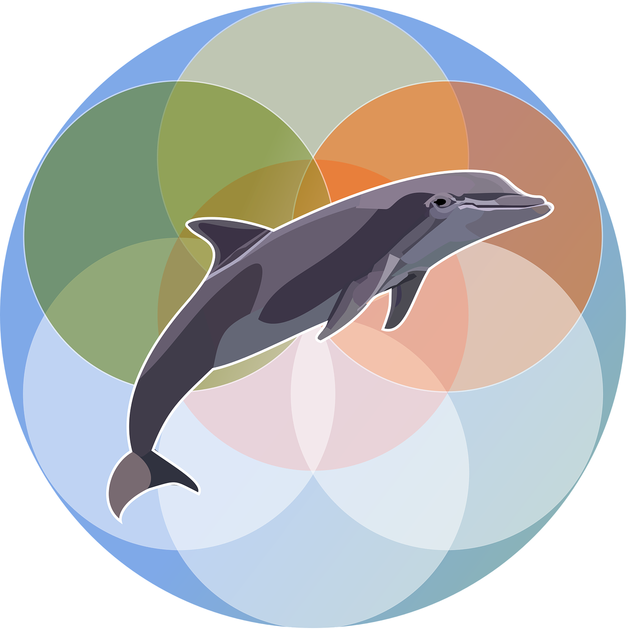 marine mammal  dolphin  Free vector graphics free photo