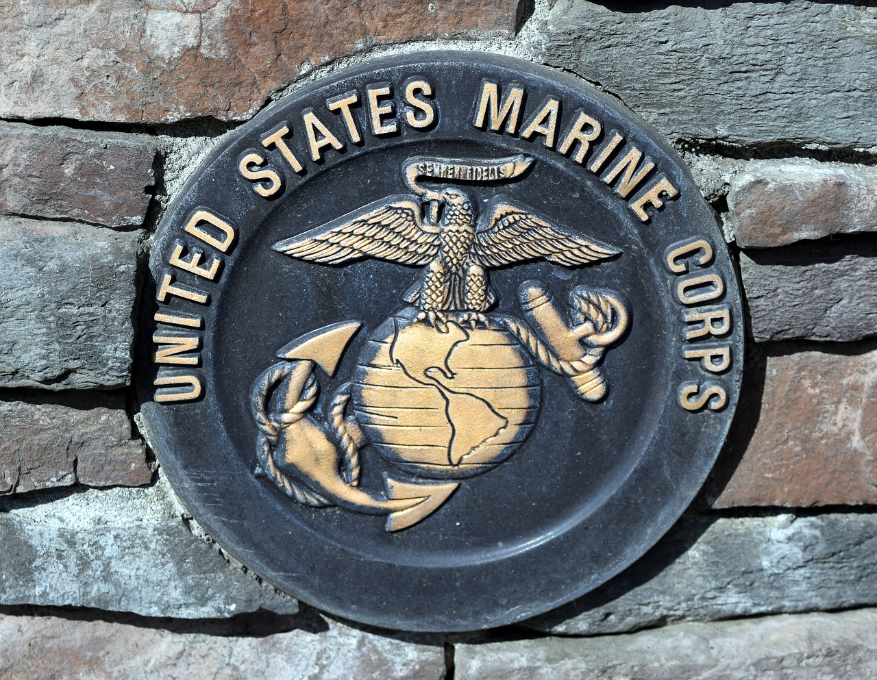 marines marine corps military free photo