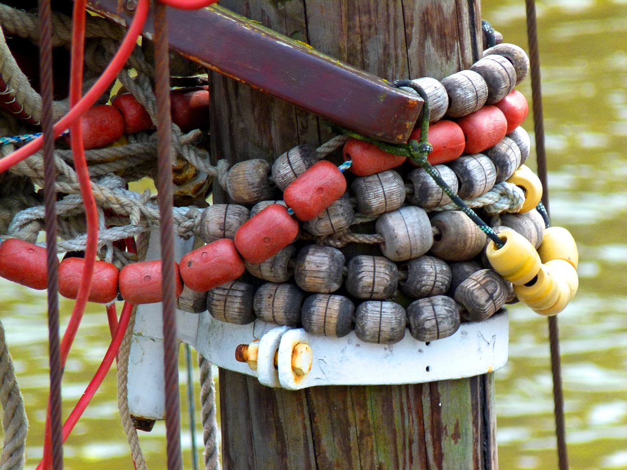 maritime dew rope free photo