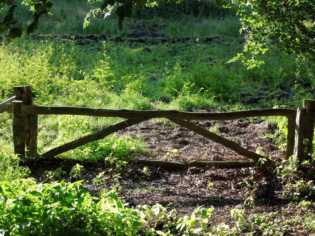 mark door fence free photo