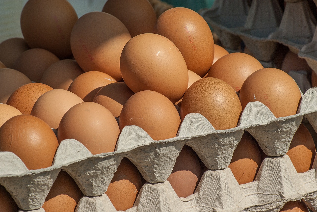 market hens eggs free photo
