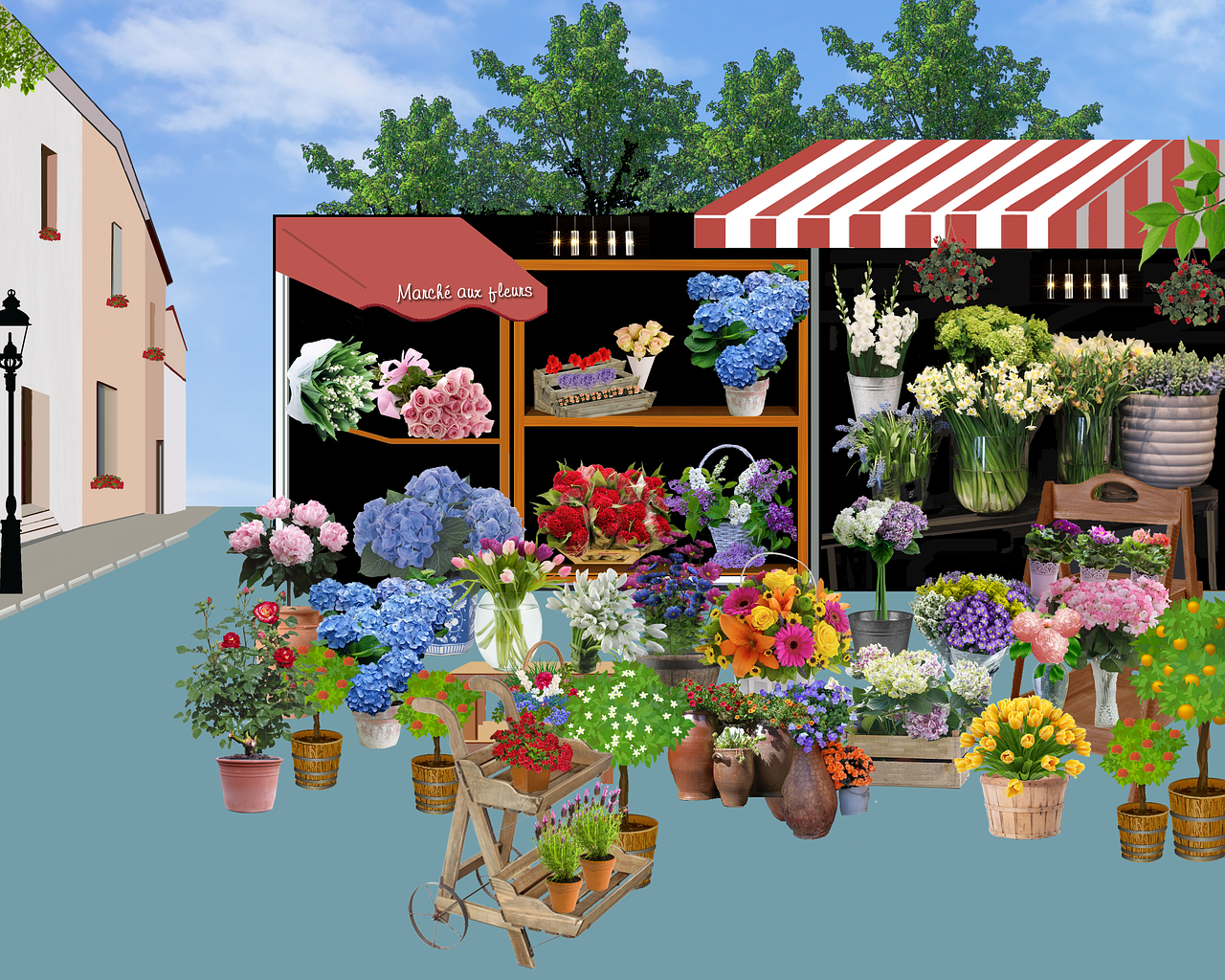 market flowers shop free photo