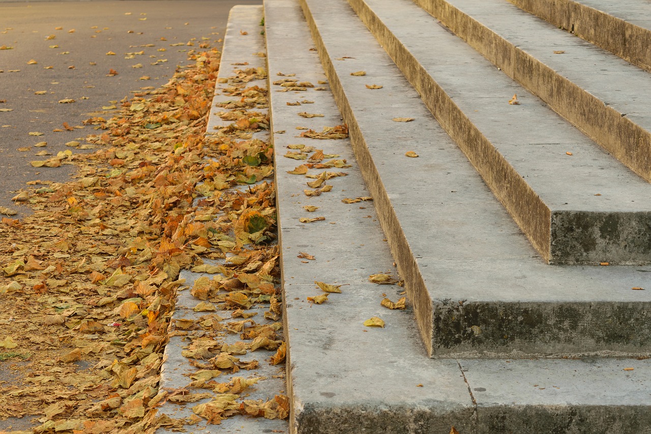 market markets leaves free photo