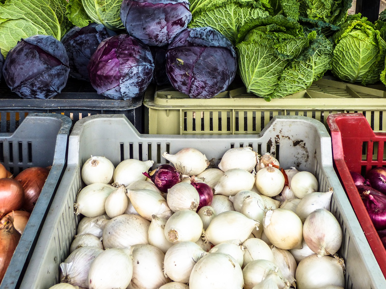 market onion cabbage free photo