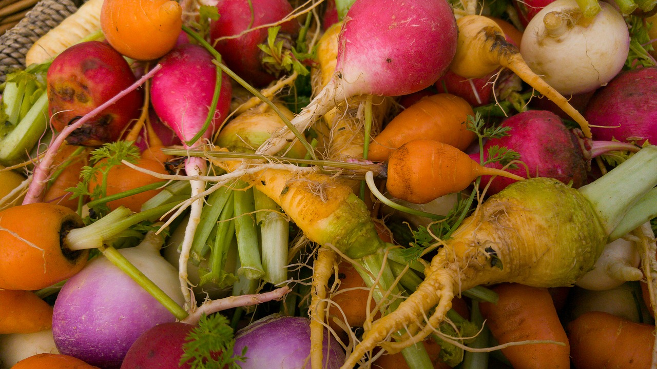 market vegetables mini vegetables free photo