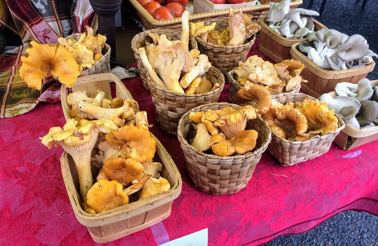 market farmers market mushrooms free photo