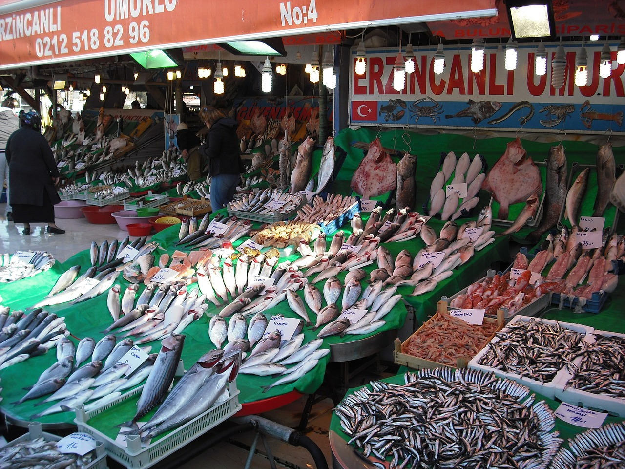 market fish istanbul free photo