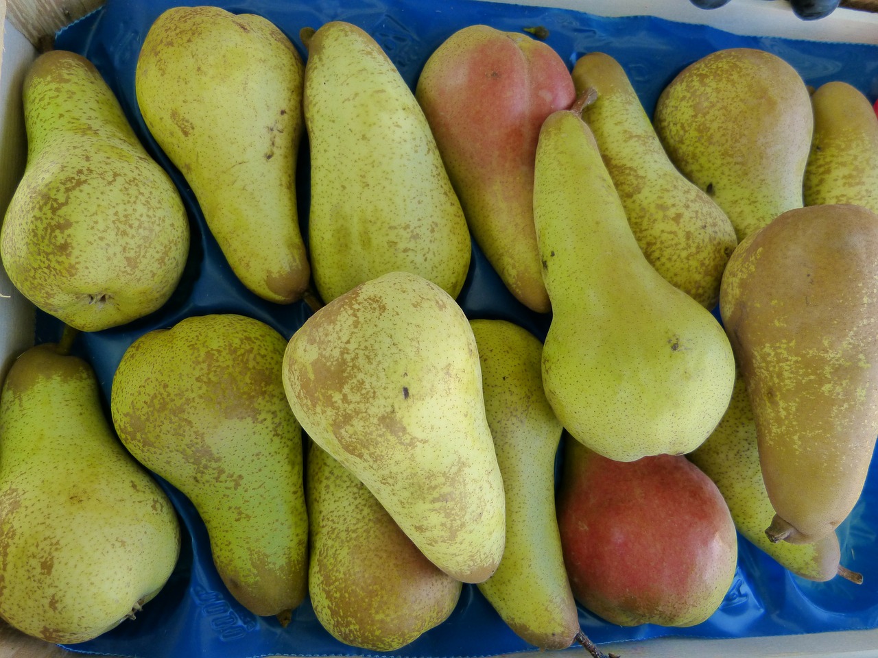market pears eat free photo