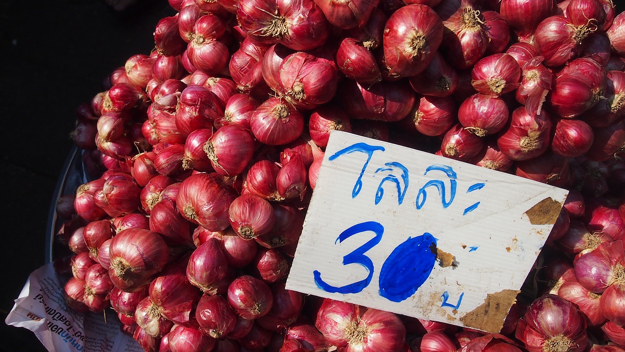 market onion price free photo