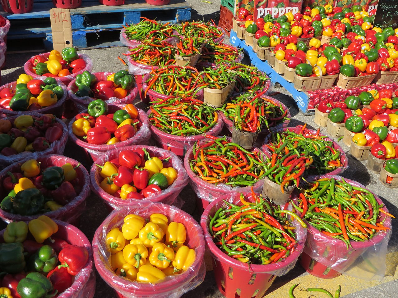 market vegetable paprika free photo