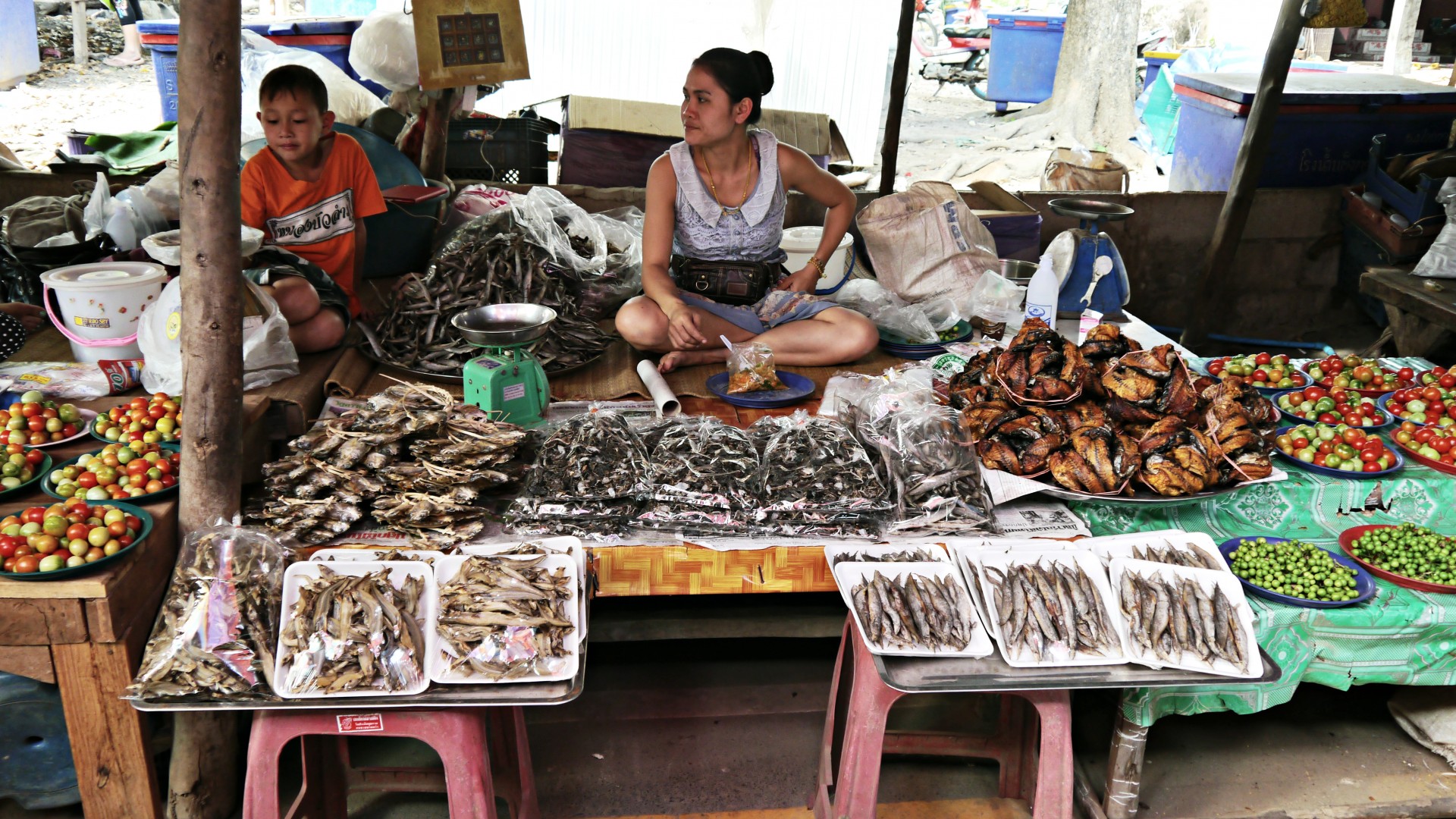 isaan thailand market free photo