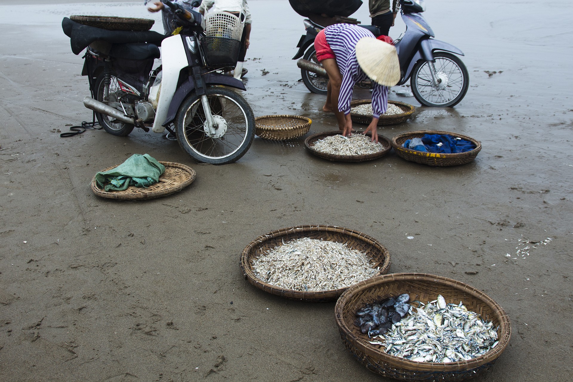 sầm sơn beach thanh hóa việt nam free photo