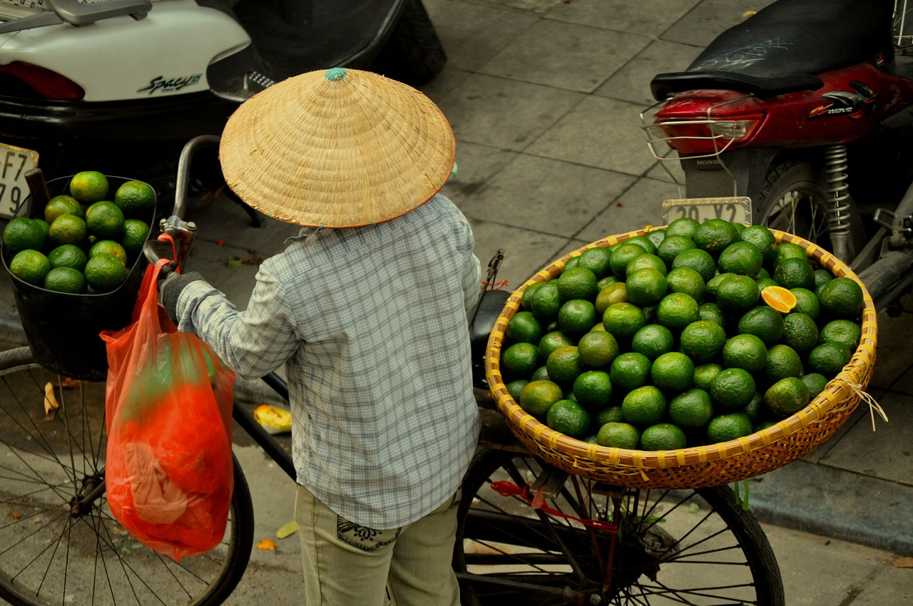 market woman hanoi oranges free photo