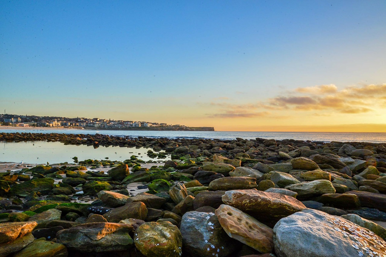 maroubra sydney australia free photo