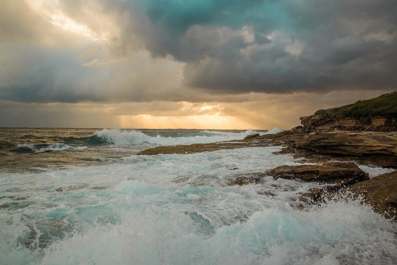 maroubra sydney australia free photo