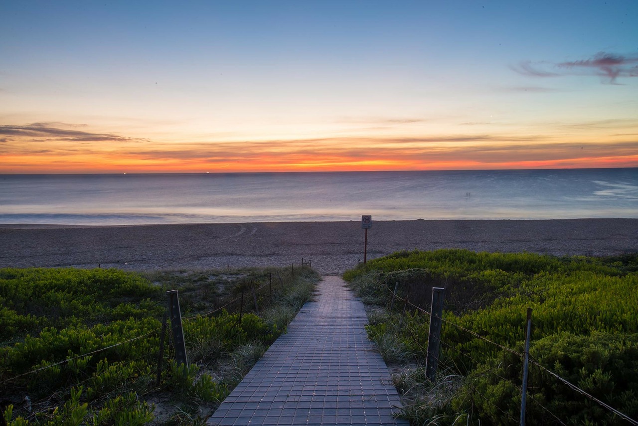 maroubra sydney australia free photo