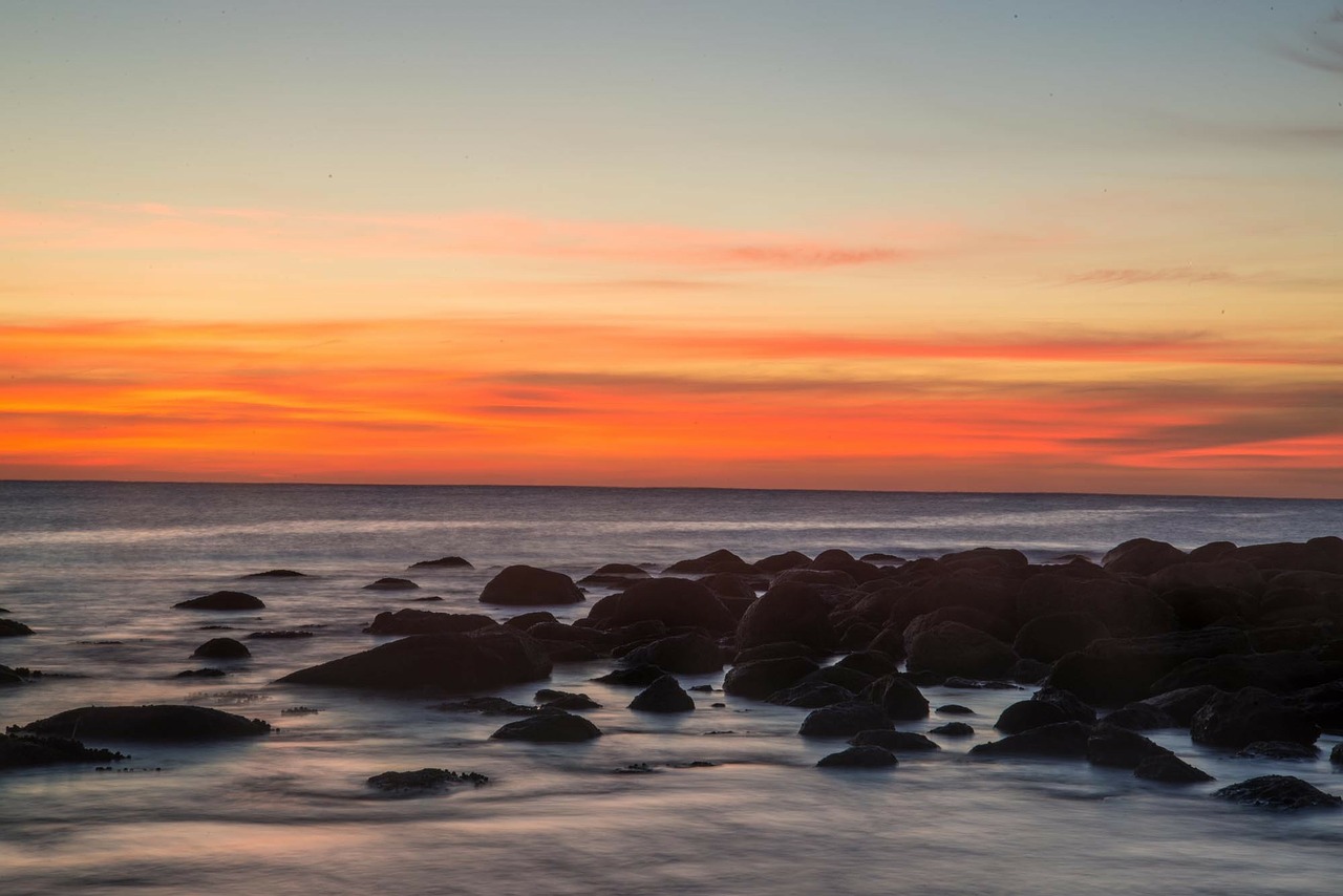 maroubra sydney australia free photo