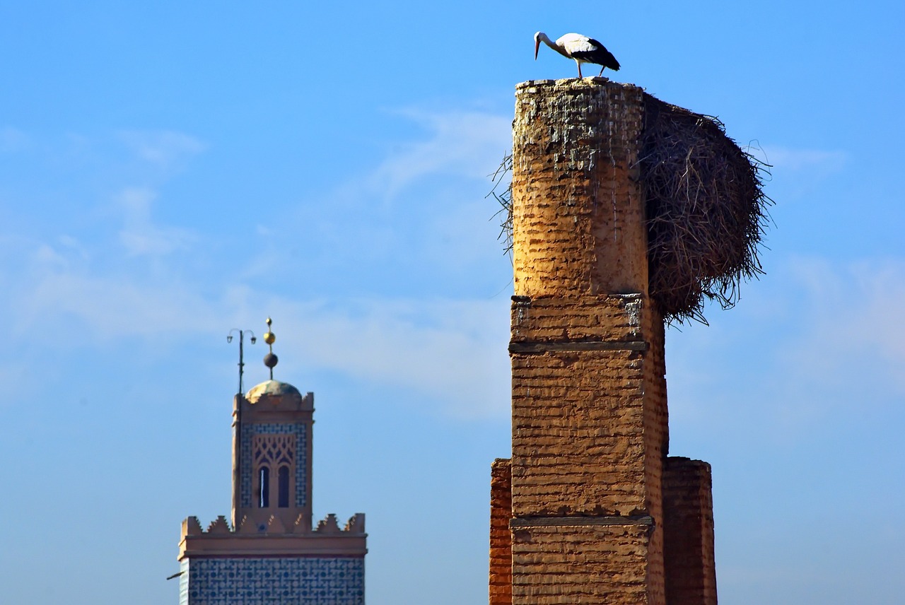 marrakech stork palace baadi free photo