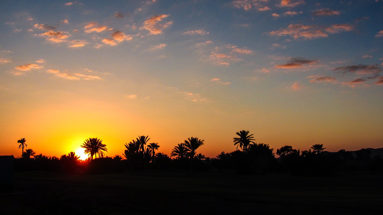 marrakech sunset palm free photo