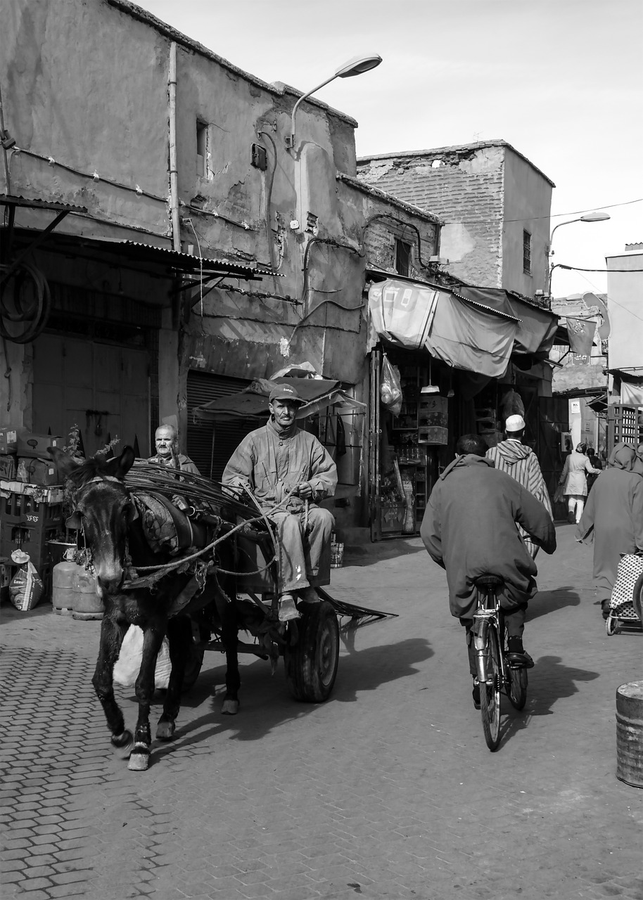 marrakesh morocco moroccan free photo