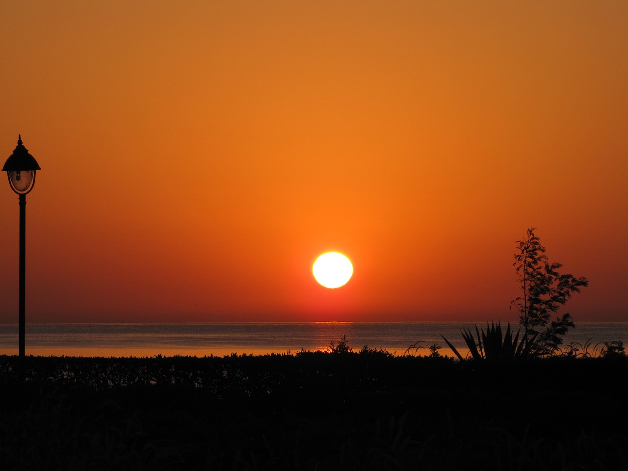 marsa  alam  egypt free photo