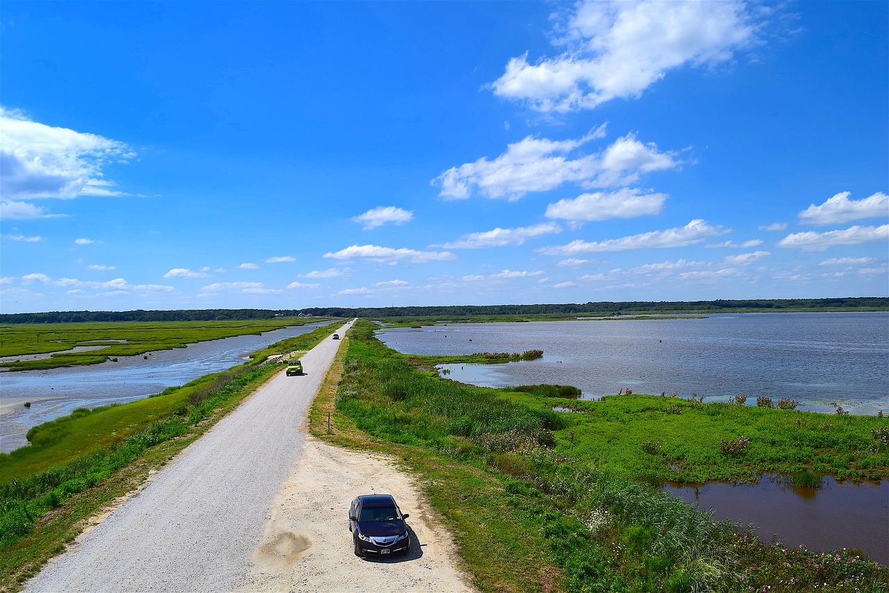 marsh roadway water free photo