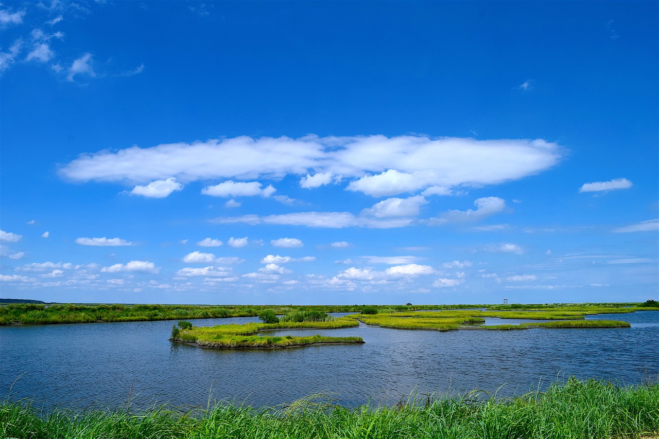 marsh water sky free photo