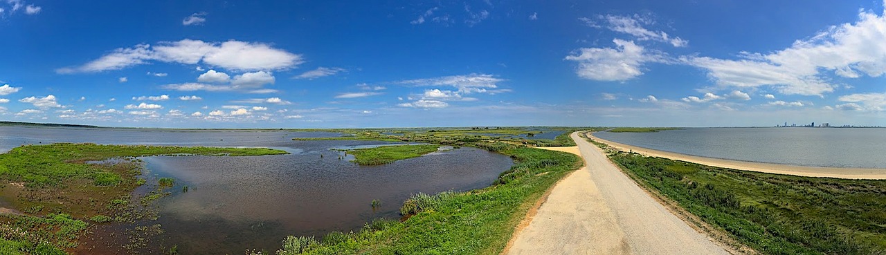 marsh landscape estuary free photo