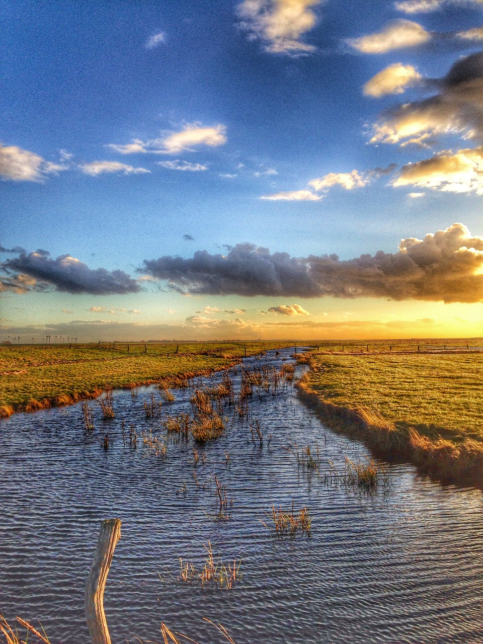 marsh cuxhaven romance free photo