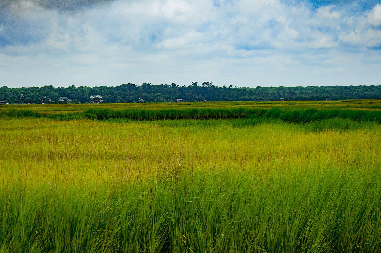 marsh south carolina sky free photo