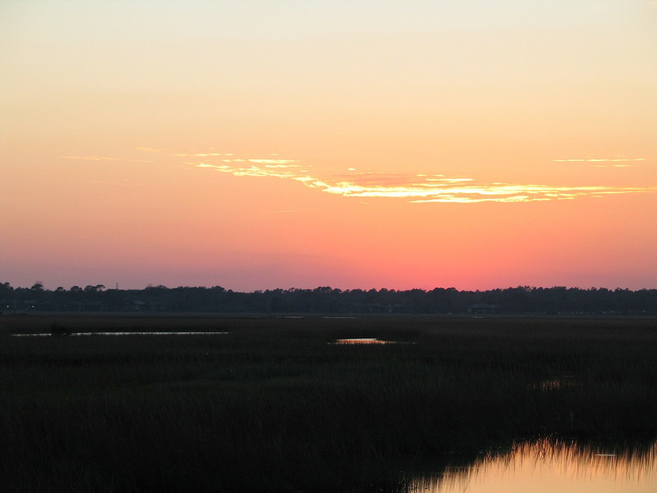 marsh sunset nature free photo