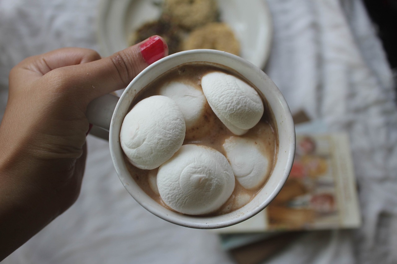 marshmallow chocolate instagram free photo