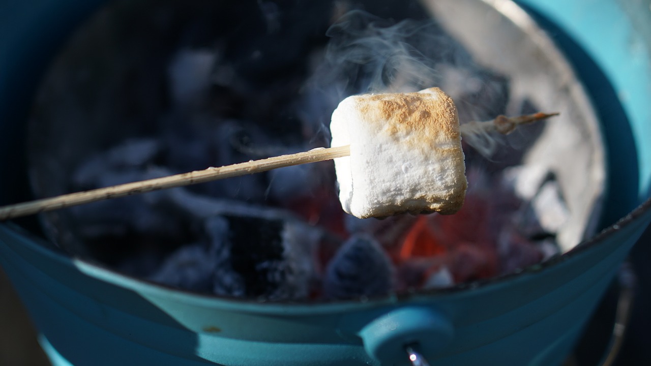 marshmallow grilling charcoal free photo