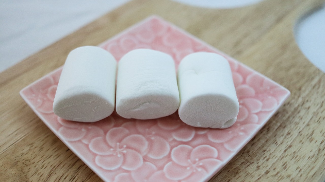 marshmallow  sweetness  sugar free photo