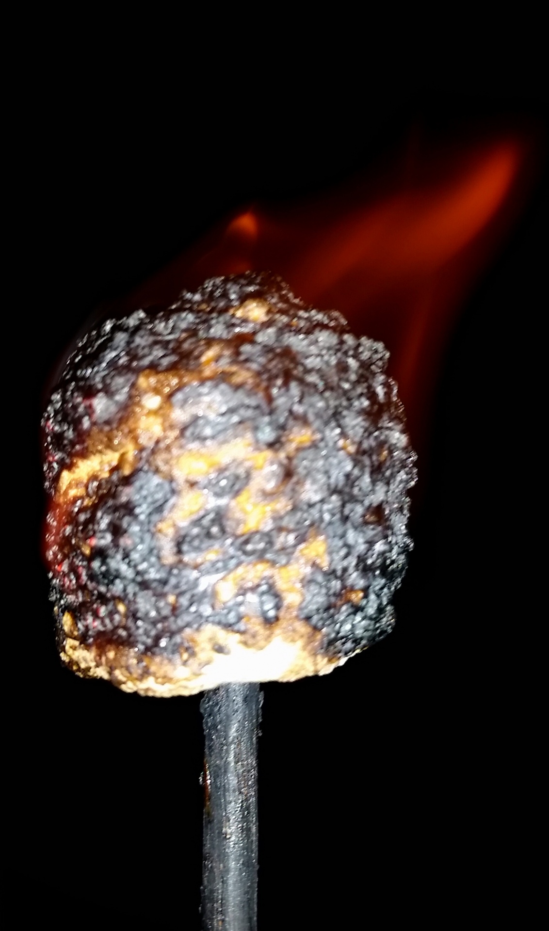 marshmallow burnt stick free photo