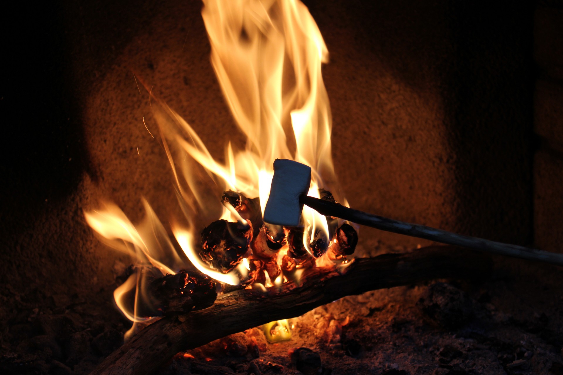 marshmallow campfire fire free photo