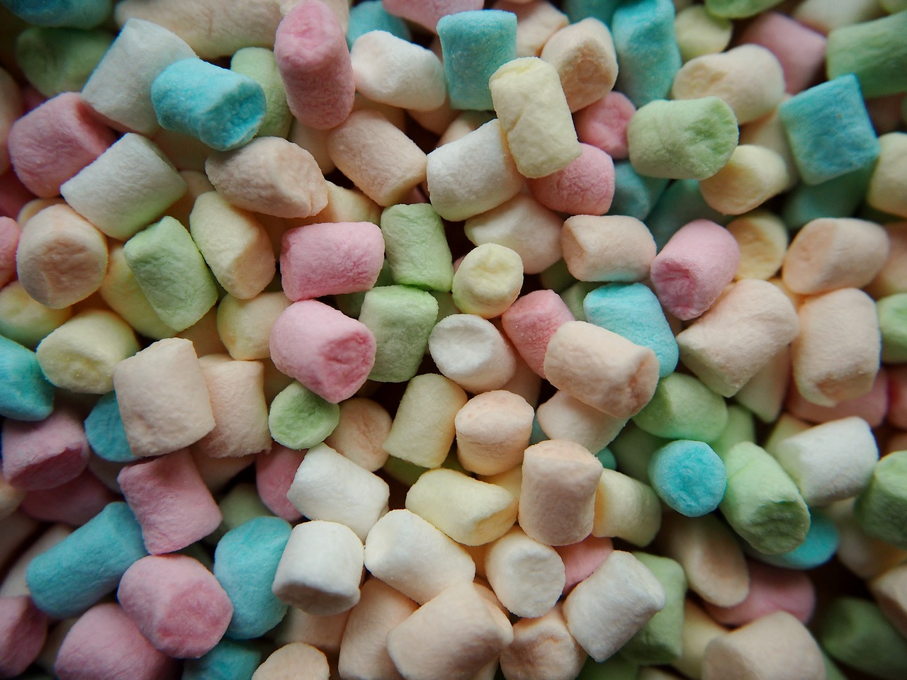 marshmallows colorful candy free photo